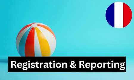 Frankreich - Registrierung und Meldepflichten (1 Bericht) für Spielzeug Produktbild