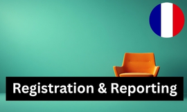 Frankreich - Registrierung und Meldepflichten (1 Bericht) für Möbel Produktbild