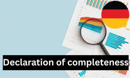 VE-Service (Vollständigkeitserklärung) durch einen zugelassenen Prüfer der ZSVR (§11 VerpackG) Produktbild