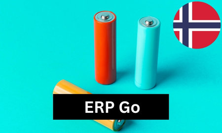 ERP GO Batterien Produktbild