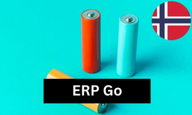 ERP GO Batterien Produktbild