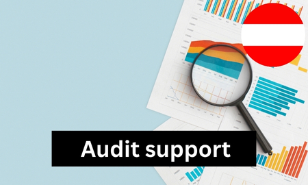 Audit Support - joint Audit participation online or on site Produktbild