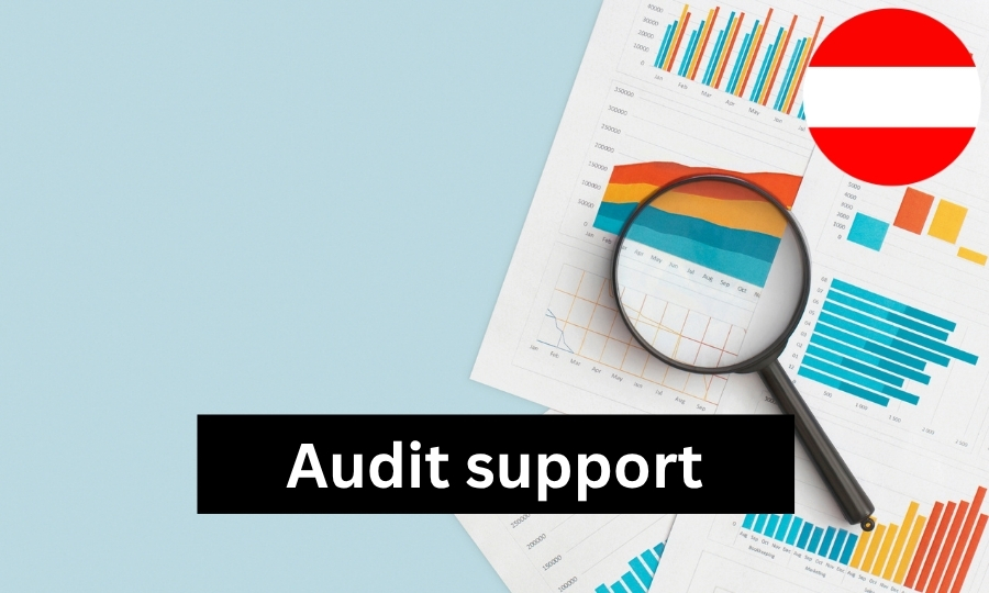 Audit Support - joint Audit participation online or on site Produktbild default ZOOM