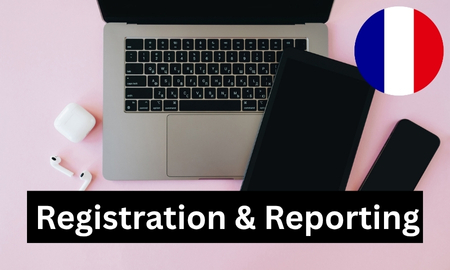 France - Registration and reporting obligations for waste electrical and electronic equipment (WEEE) (1 report) Produktbild