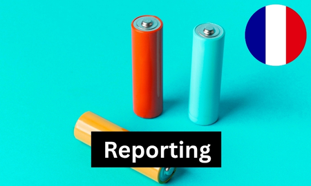 France - Reporting requirements for batteries (1 report) Produktbild