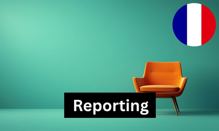 France - Reporting requirements for furniture (1 report) Produktbild