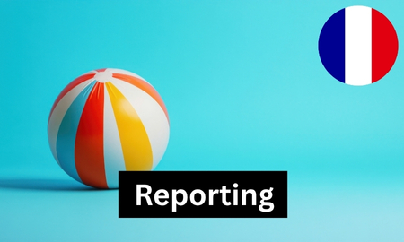 France - Reporting requirements for toys (1 report) Produktbild