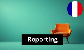 France - Reporting requirements for furniture (1 report) Produktbild