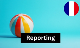 France - Reporting requirements for toys (1 report) Produktbild