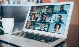 Webinars / Workshops